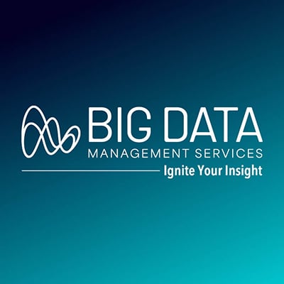 Big Data Management Services logo