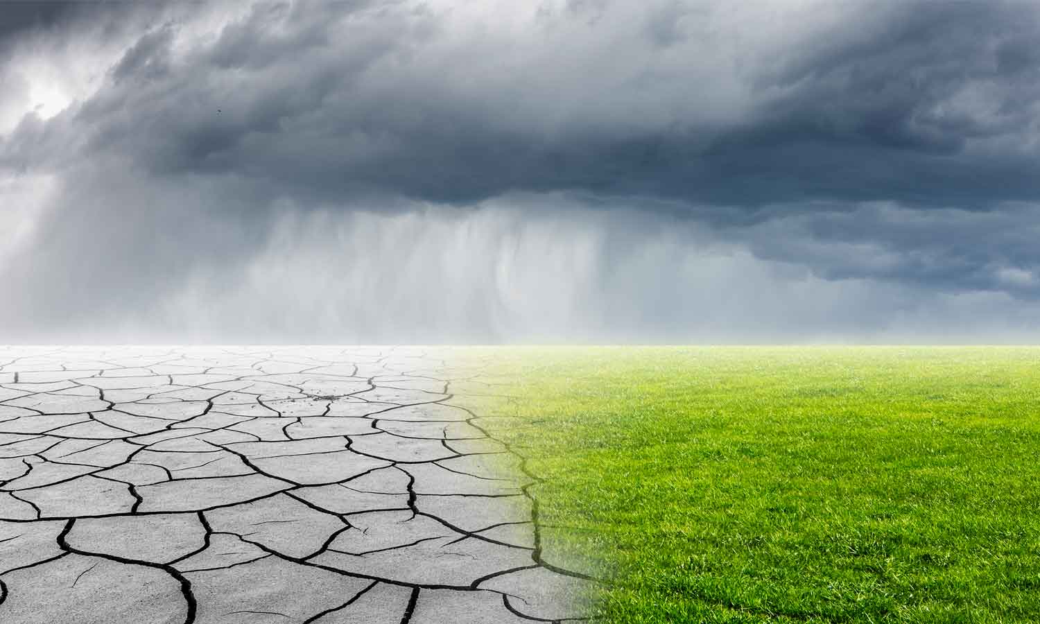 Climate Change