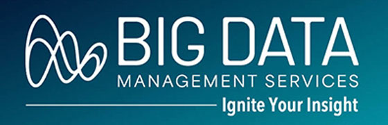 Big Data Management Services