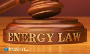 Retail Energy Is Under Assault in Many States, Conference-Goers Told